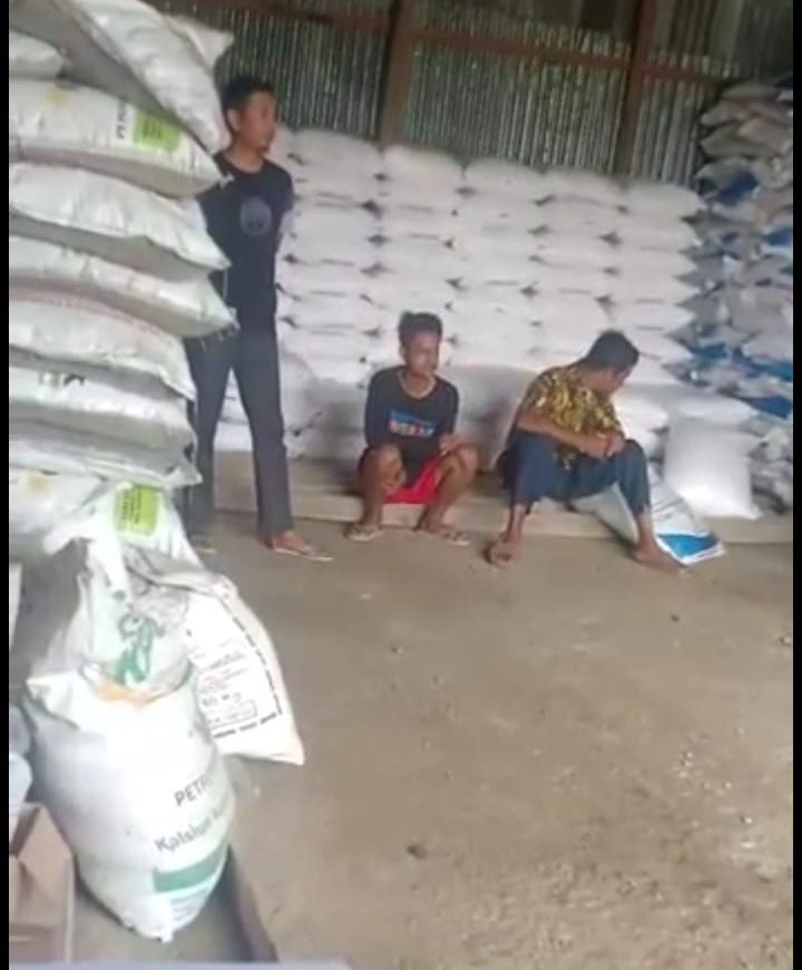 Petani Camba Keluhkan Kenaikan Harga Pupuk